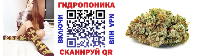Магазины продажи наркотиков Осинники Гашиш Конопля Псилоцибиновые грибы Меф COCAIN