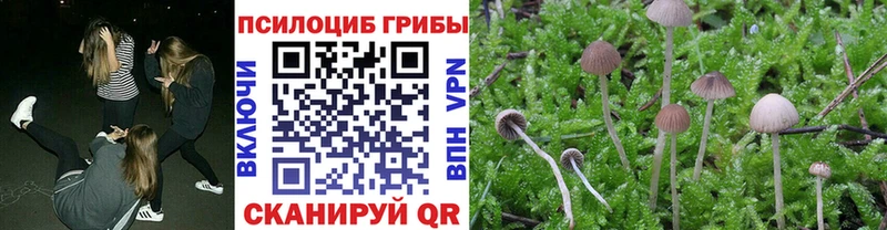 Псилоцибиновые грибы Magic Shrooms цена наркотик Осинники